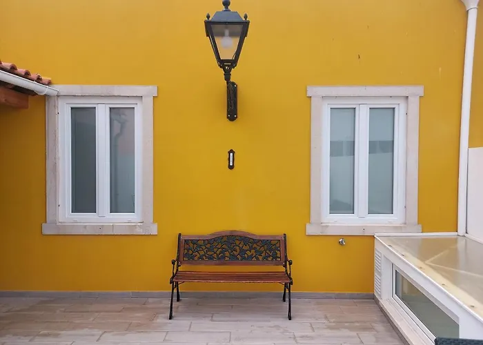 Wolley - 2 Проживание в семье